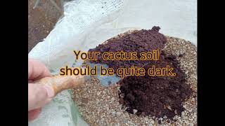 Make your own soil for mature lophophoras by Precious Cactus [upl. by Elegna860]