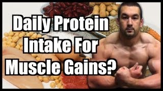 Daily Protein Intake How Much Protein To Build Muscle [upl. by Naenaj]