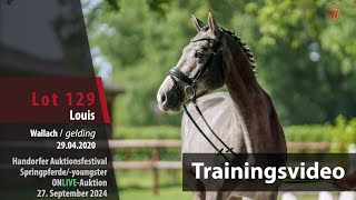 Auktionsfestival Training Lot 129 Louis Wallach v Levisto  Califax [upl. by Ymmaj]