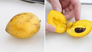 How to Eat Egg Fruit Canistel or Yellow Sapote  Taste Test [upl. by Dinah]