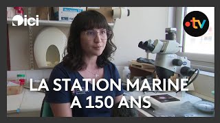 À Wimereux la Station Marine a 150 ans [upl. by Anaicilef]