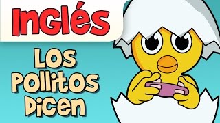 LOS POLLITOS DICEN En Inglés  Lillte chicks  All The Chicks Are Squeaking [upl. by Terrie]