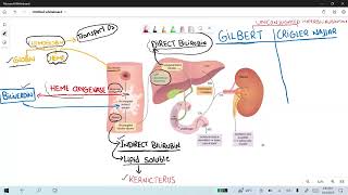 Neonatal Jaundice and RiboflavinHigh Yield Series [upl. by Fidellas]