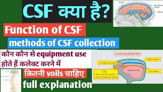 CSF क्या है function of CSF how to collect CSF in lab brain anaomy [upl. by Daffie706]