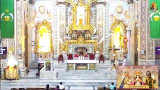 Archdiocesan Shrine of Santo Niño  October 29 2024 Tuesday  600am Mass [upl. by Wilfreda]