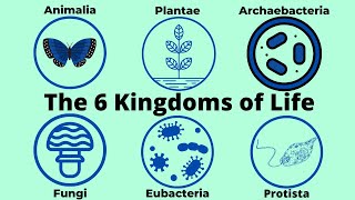 Basic Taxonomy6 Kingdoms of LifeClassification [upl. by Akkire217]