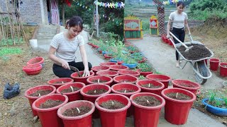 Single Mom  Growing Borage in Plastic Pots amp Life Off the Grid [upl. by Tannenwald]