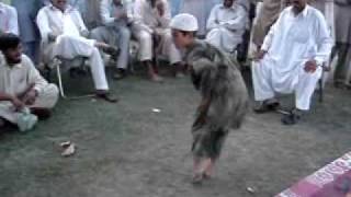 pashto mast dance 2009 [upl. by Arret588]