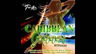 CARIBBEAN GROOVE RIDDIM INSTRUMENTAL OFFICIAL AUDIO DEC 2013 [upl. by Eenahc]