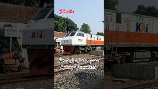 Kereta Api Kertanegara tersedia di Jalur 1 [upl. by Nam]