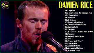 Damien Rice Greatest Hits  Best Of Damien Rice Full Album  Damien Rice Playlist  indie rock 2018 [upl. by Adnolrehs]