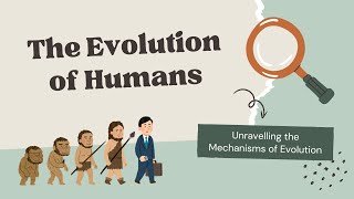 The Fascinating Evolution of Human Beings [upl. by Milo]