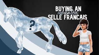 Buying a SELLE FRANÇAIS  Star Stable  Mane styles and animations  Lara Turtlepaw [upl. by Ylrebnik574]