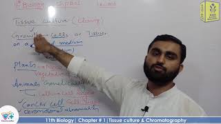 Tissue culture and chromatography fedral boardChapter 1 Grade 11  1st yer biologylec  3 [upl. by Weston]