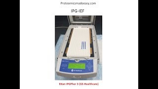 2D Gel Electrophoresis [upl. by Hcurab]