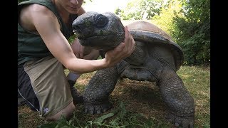 Schönbrunner TierpflegerTagebuch 14 Max und Riesenschildkröte Schurli [upl. by Balliol850]