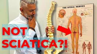 Is It Sciatica or L5 Radiculopathy This Is How You Know Whats Causing Leg Pain  Dr Ruminder Birk [upl. by Noremak133]