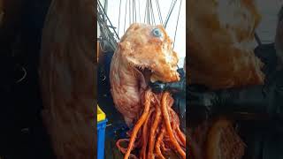 Weird fish 🐟 deepseafishing fantasy oddities strangeai weirdcore [upl. by Ping403]