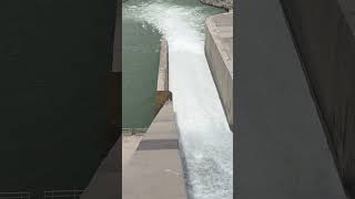 River Flow over Flap Gates nature travel dam spillway [upl. by Marchall]