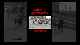 【競馬】2歳戦ダート。ベタ買いしても回収率120超え‼️激旨種牡馬【競馬検証】 競馬 競馬検証 ウマ娘 リバティアイランド [upl. by Constantia822]