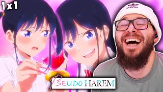 Best Girl of ALL Harem  Pseudo Harem Episode 1 REACTION [upl. by Suollecram554]