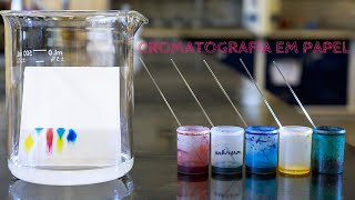 Experimentos de Química  CROMATOGRAFIA EM PAPEL [upl. by Cordelia]