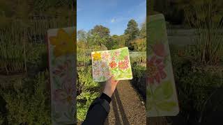 moleskine travel journal in watercolor belmond [upl. by Shuman]