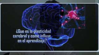 ¿Qué es la plasticidad cerebral y cómo influye en el aprendizaje [upl. by Eneli23]