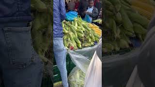 BazaarBeverwijk Saturday market [upl. by Ahsinelg799]