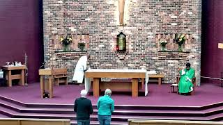 Sunday Mass 16th June 2024 quotThe 11th Sunday in Ordinary Timequot Parish of Baulkham Hills [upl. by Wilkie]