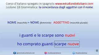 La concordanza degli aggettivi  Lezione 19 – Unita 5  grammatica italiana  corso di italiano [upl. by Groscr]