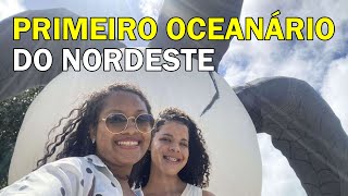 Conheça o OCEANÁRIO DE ARACAJU  O Primeiro do Nordeste [upl. by Htebizile277]