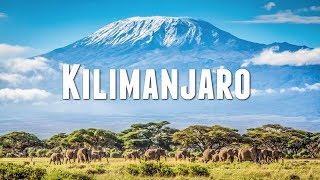 CLIMBING MOUNT KILIMANJARO [upl. by Lerrehs]