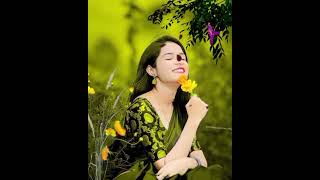 কালা কুল মোজাইলি  Kala kul Mojaili 💯❤️‍🩹Bangla New song maya nai viral song folksong [upl. by Aamsa]