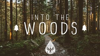 Ford’s Theatre  “Into The Woods” Trailer [upl. by Aseretairam]