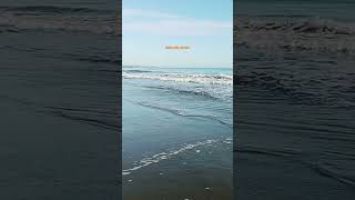 Ocean Waves  nature sounds for dogs  relaxing waves Sounds for sleep [upl. by Semmes]