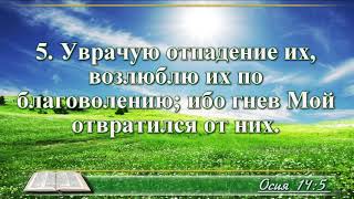 ВидеоБиблия Книга пророка Осии без музыки глава 14 Соколов [upl. by Glanti]