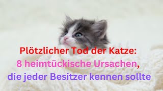 Plötzlicher Tod der Katze 8 heimtückische Ursachen die jeder Besitzer kennen sollte [upl. by Alik]