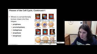 122 Cell Division and Cell Death [upl. by Annahs]