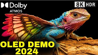 Expert Reveals Top OLED DEMO TEST for TVs with Dolby Atmos for 2024 [upl. by Ettedranreb]