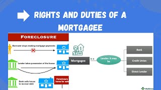 Rights and liabilities of a mortgagee  Transfer of Property Act llb mortgage hindi urdu [upl. by Ssilem55]