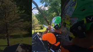 ash takedown arboristlife treelife treejob chainsaw climber stihl [upl. by Afra735]