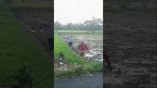 jajan orak mbayardi oyak nyemplung sawah😆 [upl. by Aisatal]