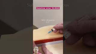 IMIntra muscular SC subcutaneousamp IDintra dermal injection sites clinical practice [upl. by Arick503]