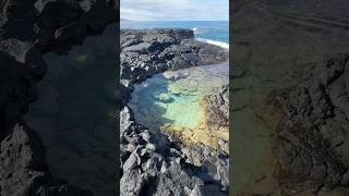 Tide Pool Treasure Hunt Real Life Moana 2 [upl. by Enilarak]