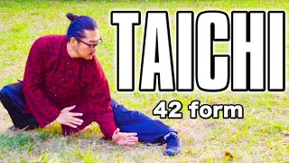 Tai Chi｜42 form Tai Chi ｜Amazing World Champion [upl. by Lajet]