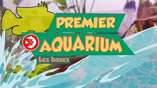 BIEN FAIRE PREMIER AQUARIUM ♦ Gab [upl. by Yerrot]