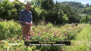 Eau de rose  les coulisses dune fabrication artisanales et bio [upl. by Swithbert]