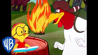 Looney Tunes  Camping with Foghorn Leghorn  Classic Cartoon  WB Kids [upl. by Anerual536]