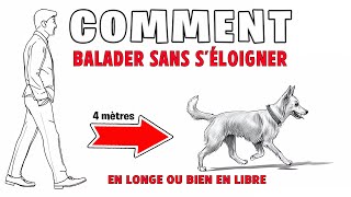 BALADER SON CHIEN EN LONGE [upl. by Vikki]